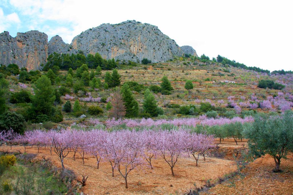 Villa Pico - Charming B&B Sella Dış mekan fotoğraf
